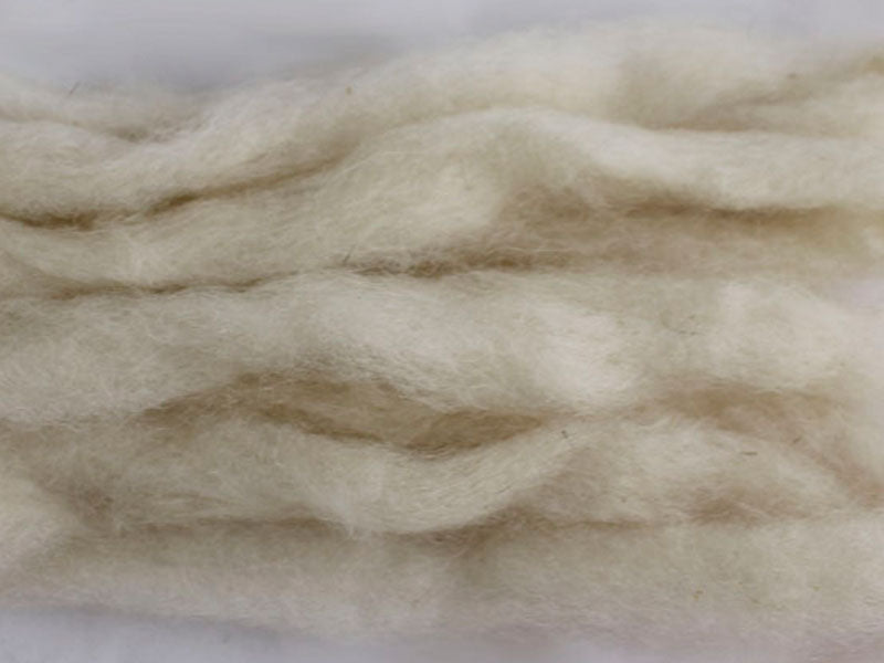 Cottontail