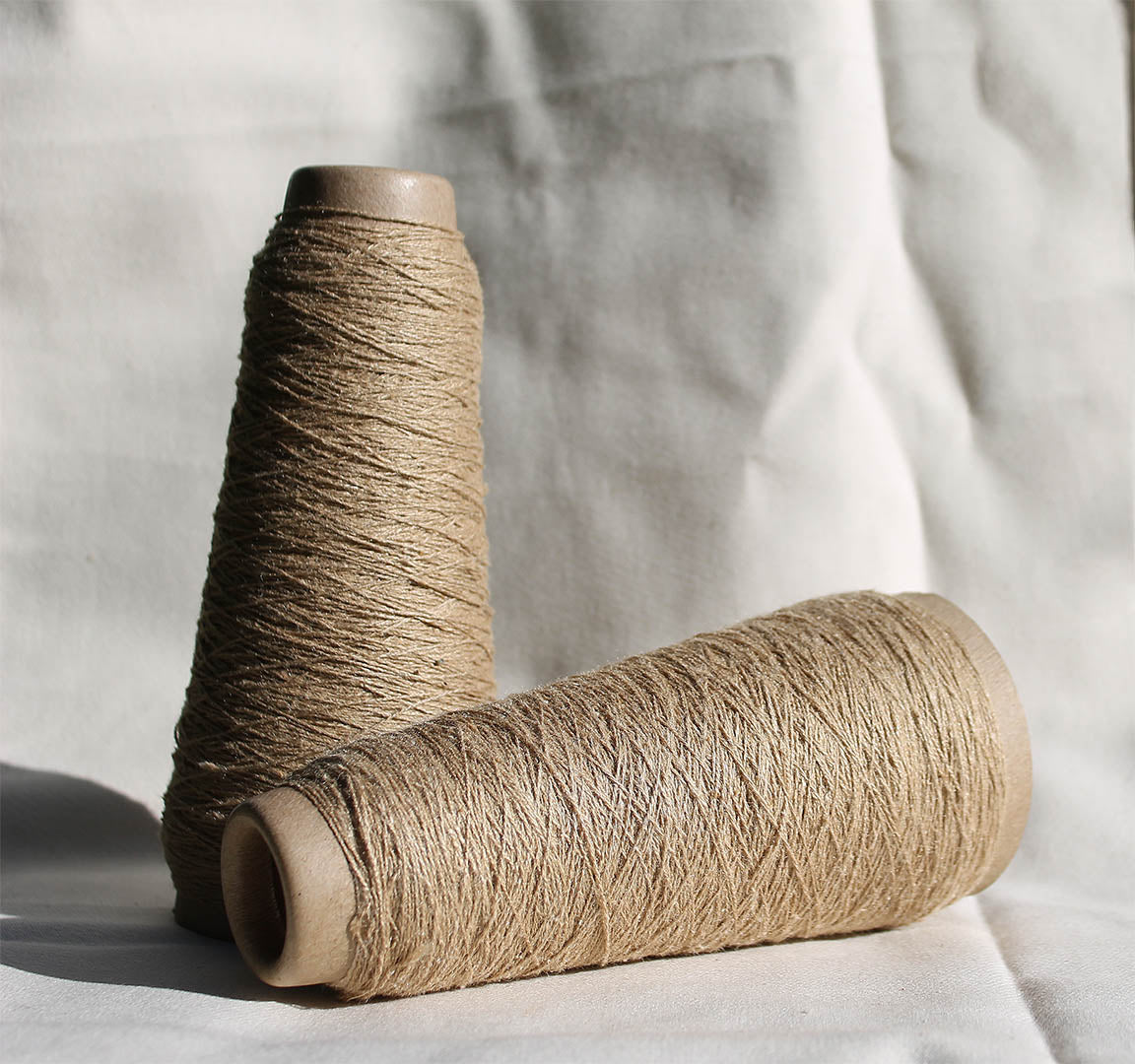 two cones of muga silk